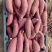 海南一点红