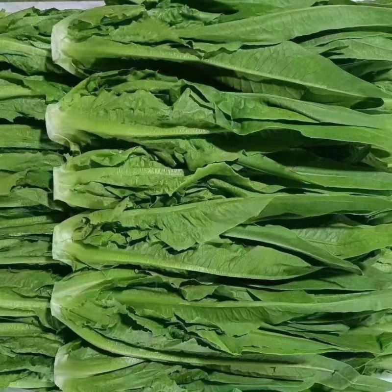 油麦