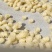 五彩面藕，食用方便，营养健康，是人们夏季欢迎的食品。