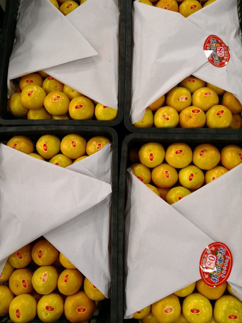 （优选）蜜桔湖北精品蜜橘产地柑橘柑桔代办产地一手货源