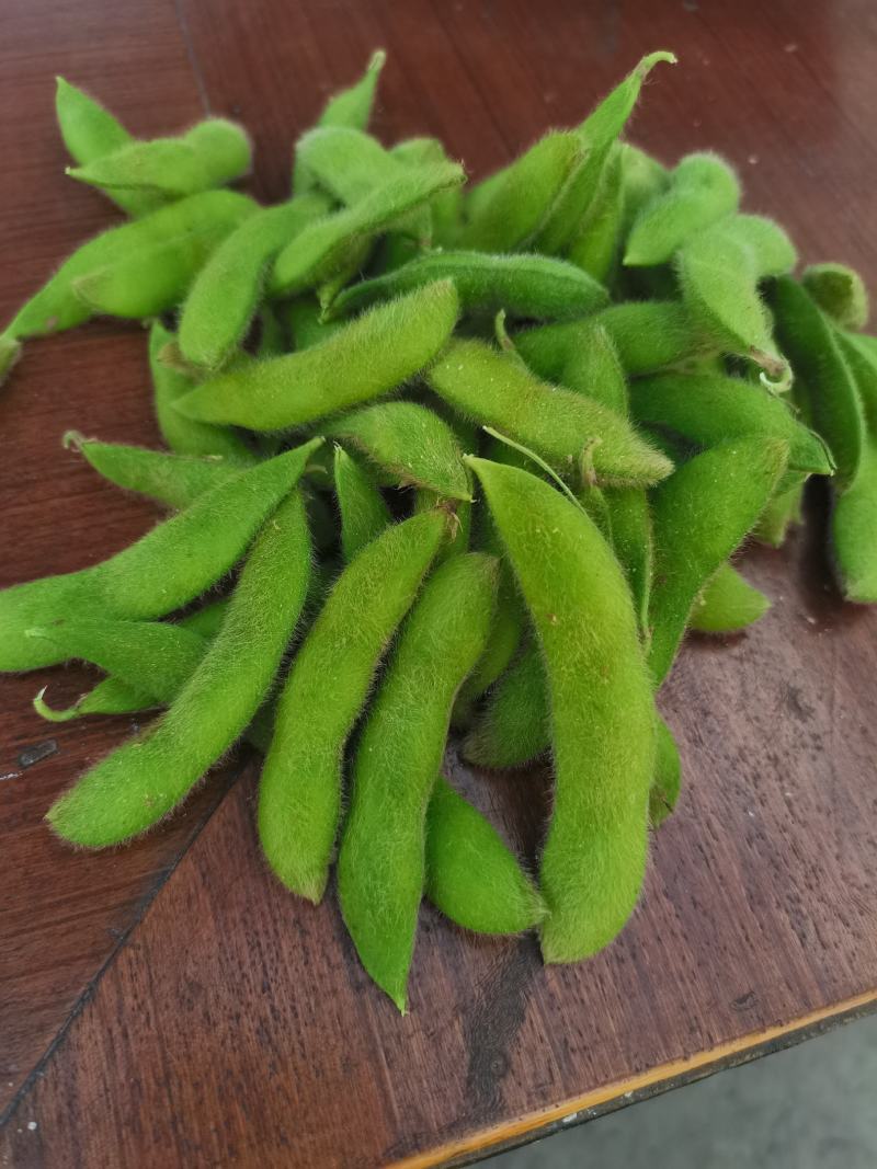 大青豆