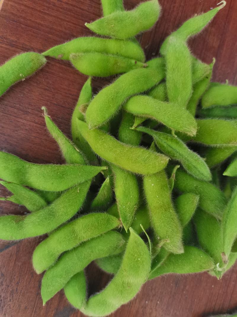 大青豆