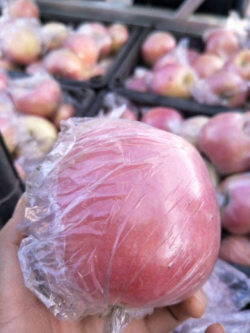 陕西苹果精品红富士苹果，适合电商，货源充足价格便宜