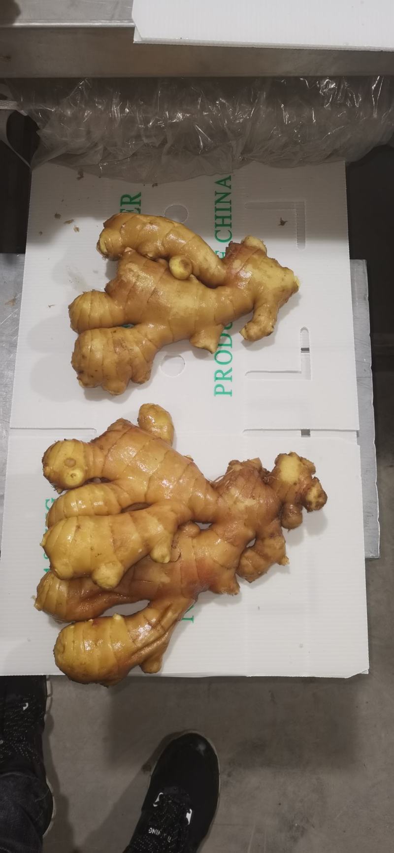 大量供应山东地区河北省大姜！泥姜洗姜常年供应！