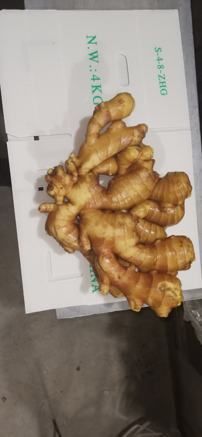 大量供应山东地区河北省大姜！泥姜洗姜常年供应！