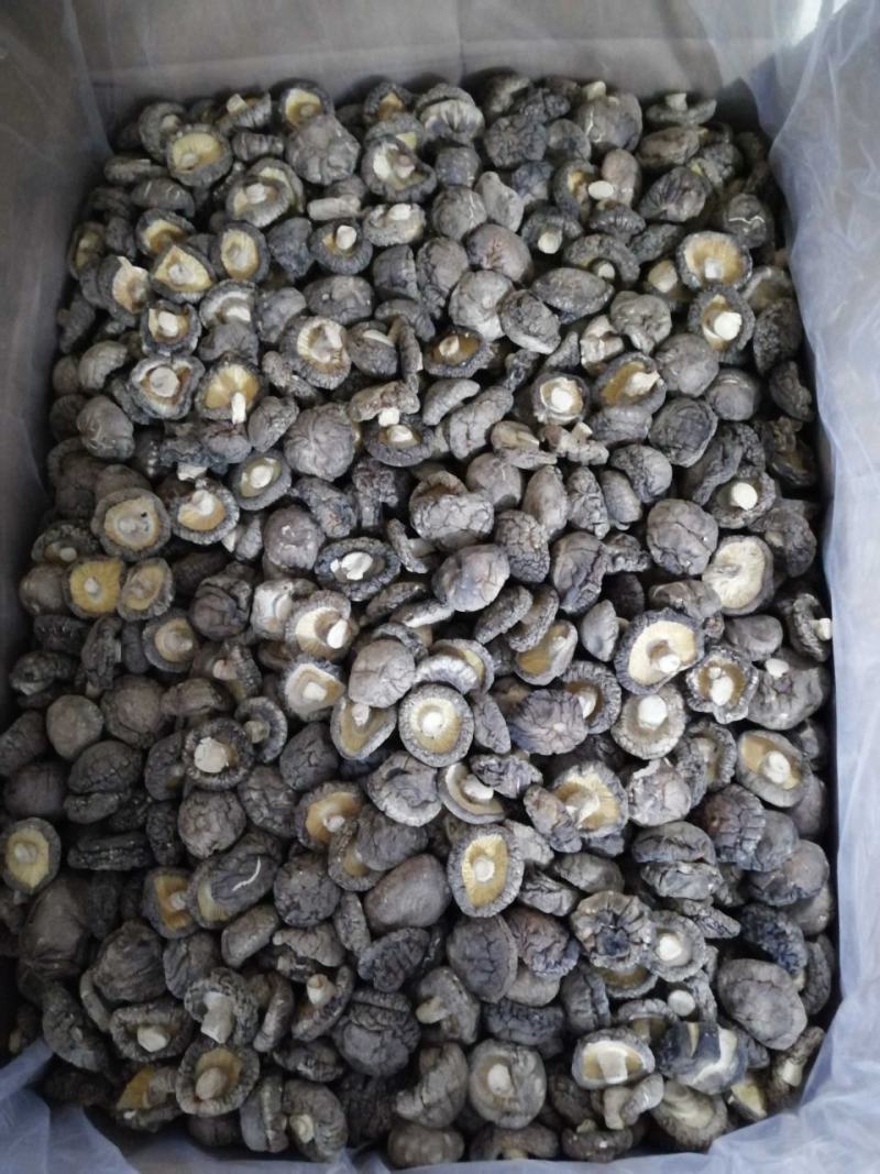 纯自然生长不是人工干预，菇形圆香味浓黑面菇