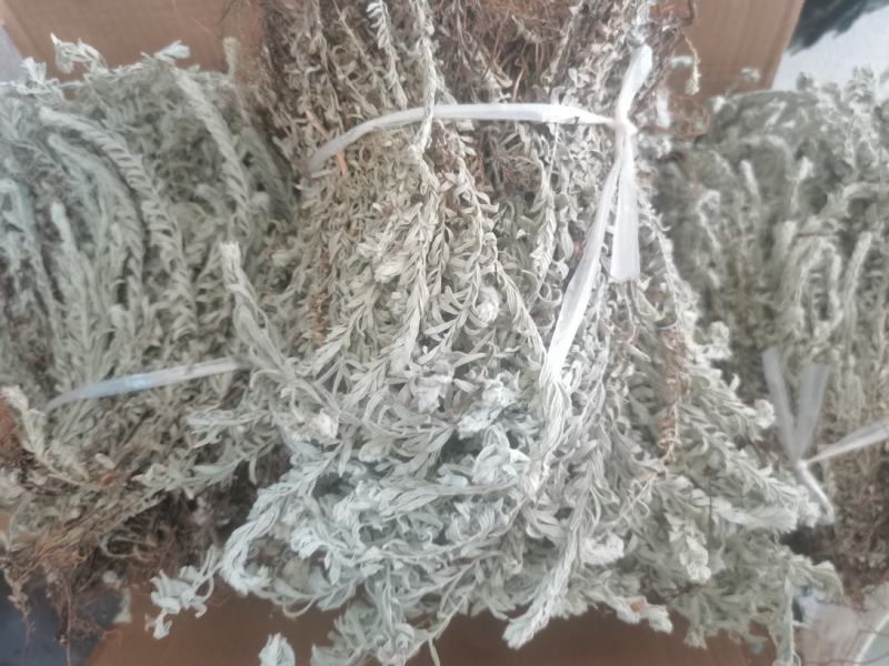 干货鹿茸草六月霜白毛鹿茸草纯净无杂草晒干（大量有）