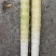 新鲜高山牛尾笋