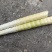 新鲜高山牛尾笋