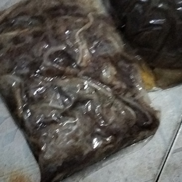 牛百叶，大肚批发