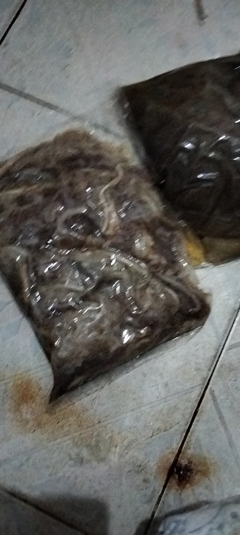 牛百叶，大肚批发