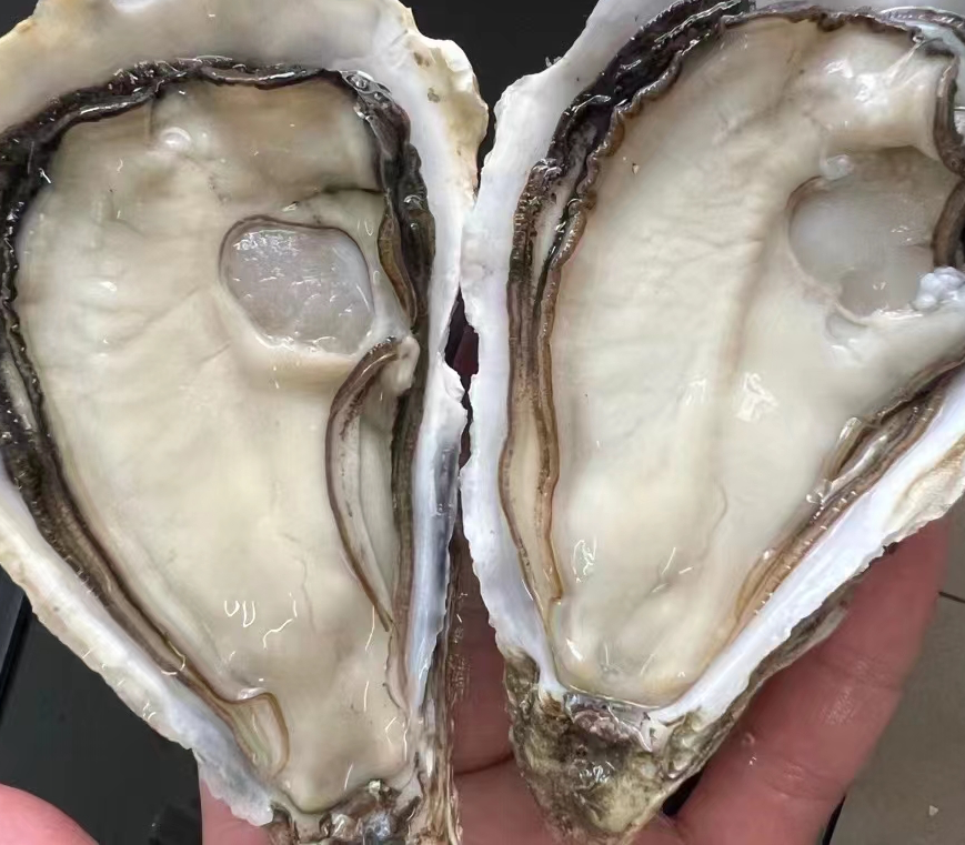 烤生蚝加热过程对比图