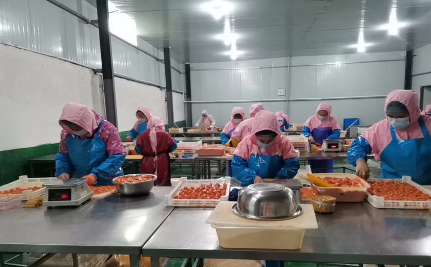 文登西洋参饮品生产工艺流程示意图