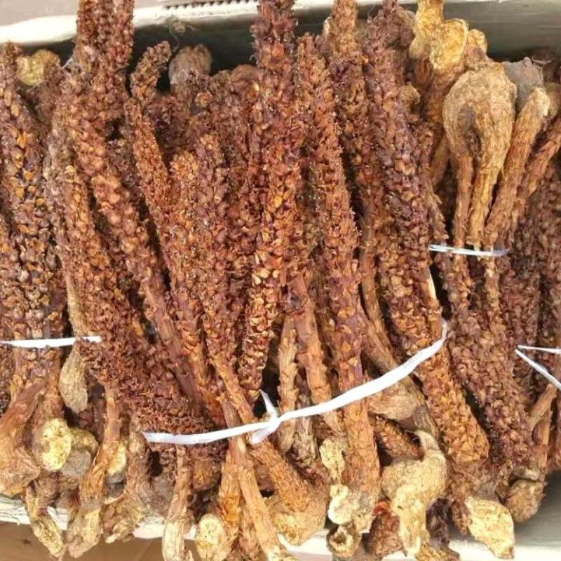 不老草野生回春草泡酒料男专用黄花列当中药材内蒙新