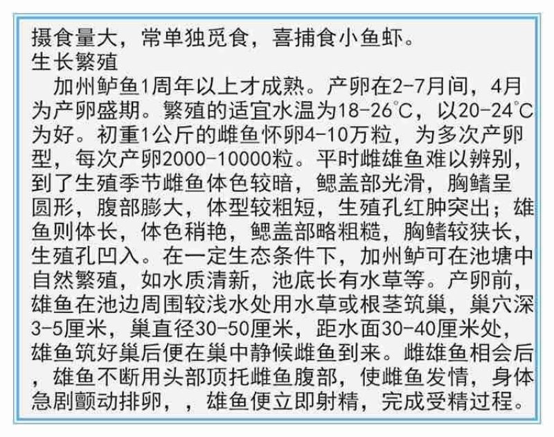热卖鲈鱼路亚垂钓鱼场批发直供包运输消毒下塘货到付款