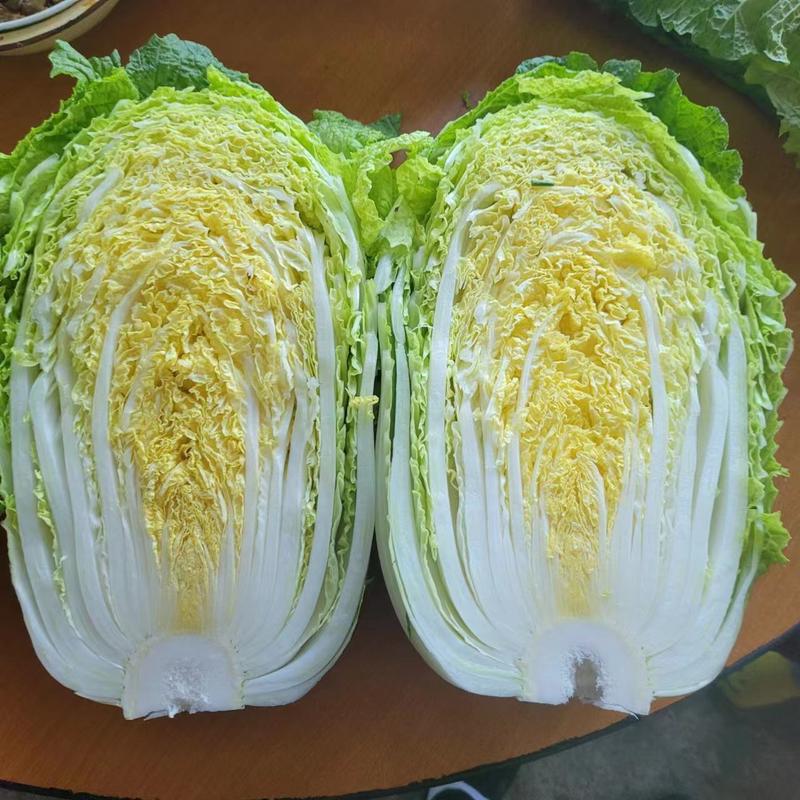 【热卖】精品矮颗黄心白菜大量上市产地直发保质保量保净