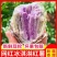 新鲜冰淇淋红薯一点红番薯现挖现发农家花心板栗薯广东地瓜
