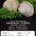 鲜活无沙美贝铁蛤蜊海鲜贝类批发