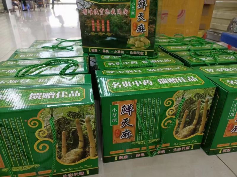 云南昭通小草坝新鲜天麻，真空包装，带泥发货，现挖现发