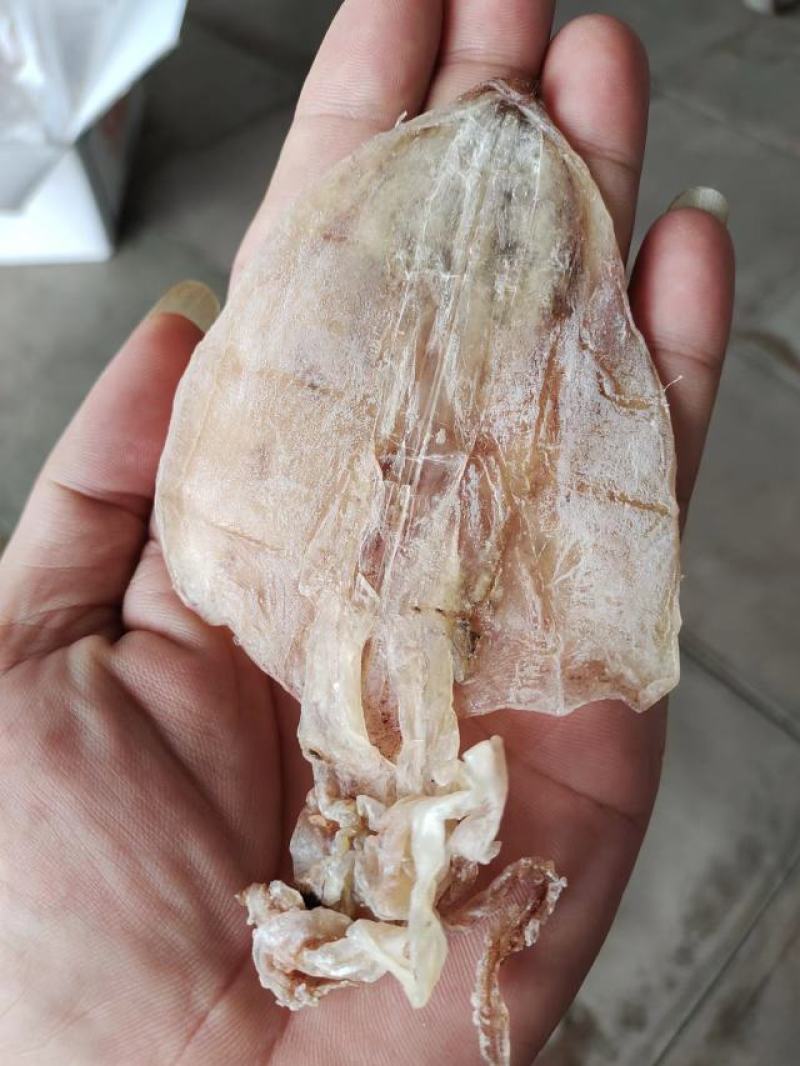 北部湾鱿鱼干