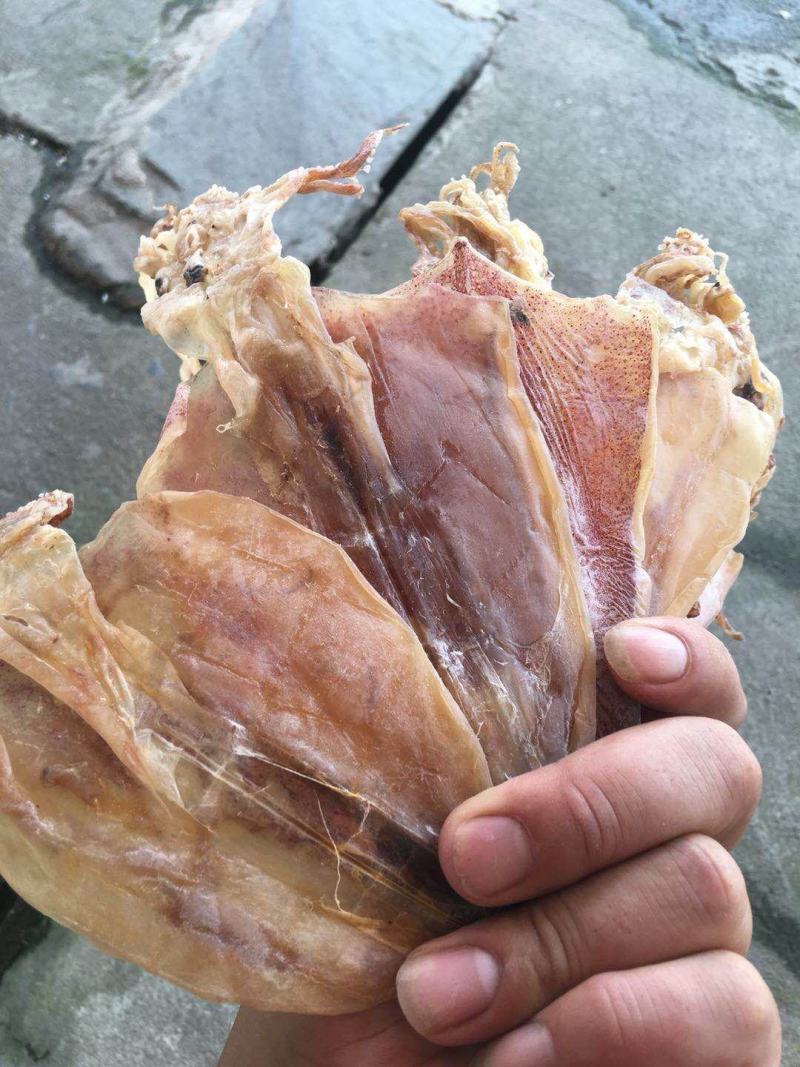 北部湾鱿鱼干