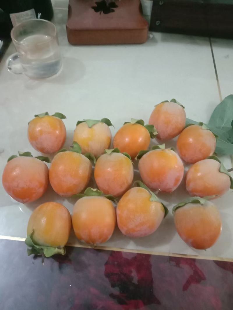 三门峡市灵宝市特产基地，柿子陆续上市了！色度好，口感纯正