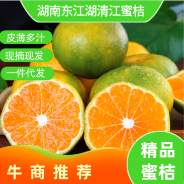 湖南东江湖蜜桔精品蜜桔,皮薄味甜全国发货