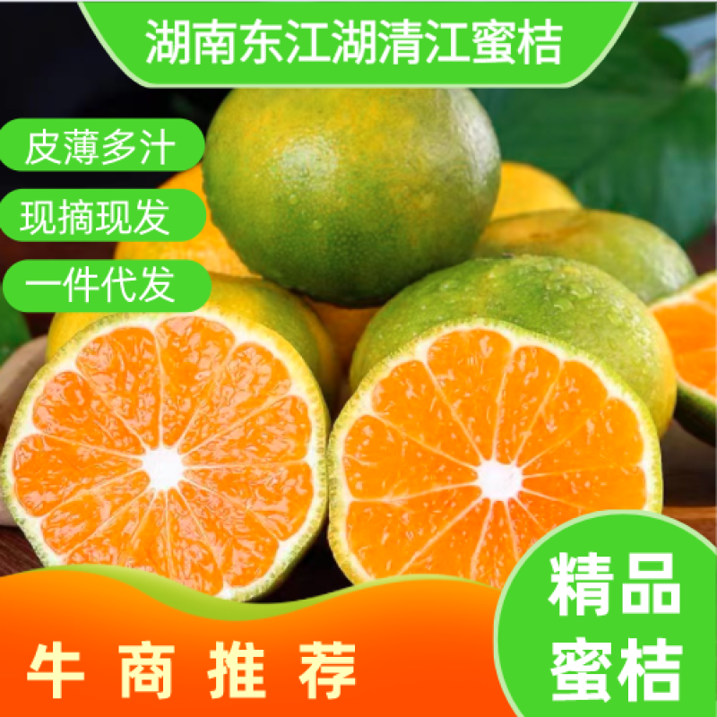 湖南东江湖蜜桔精品蜜桔，皮薄味甜全国发货