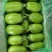随州青茄茄子大量上市品质保证诚信经营实物为准