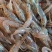 河虾，精品河虾