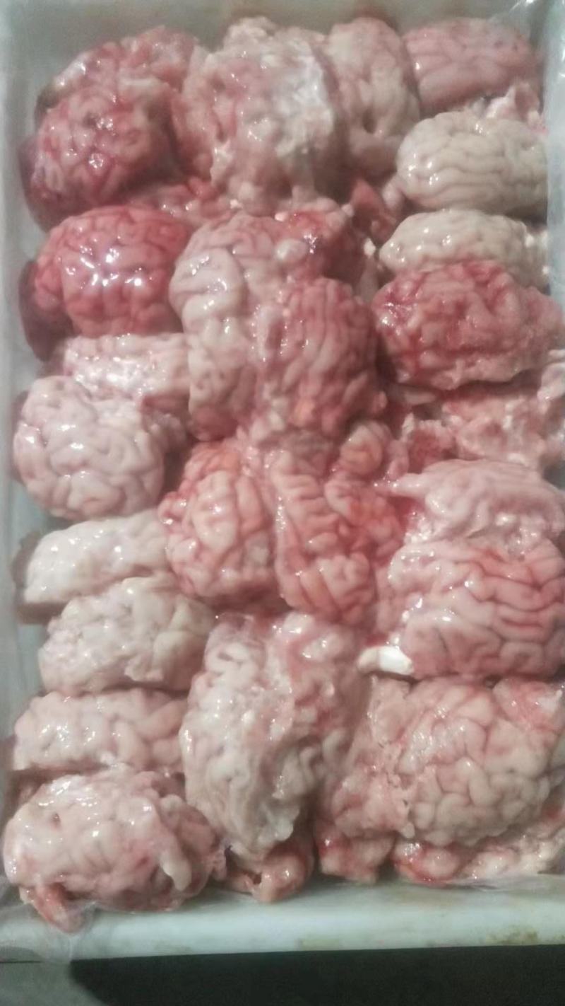 新鲜精品牛脑