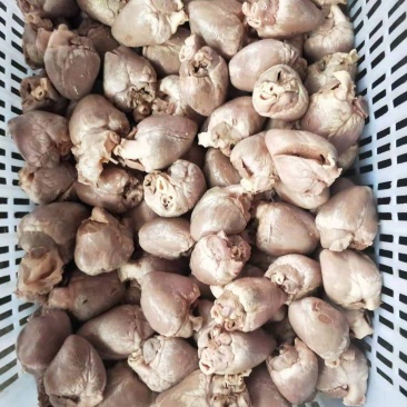 乳牛心全熟没有瘀血