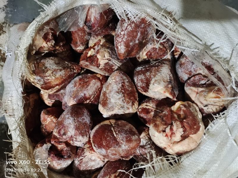 乳牛心全熟没有瘀血