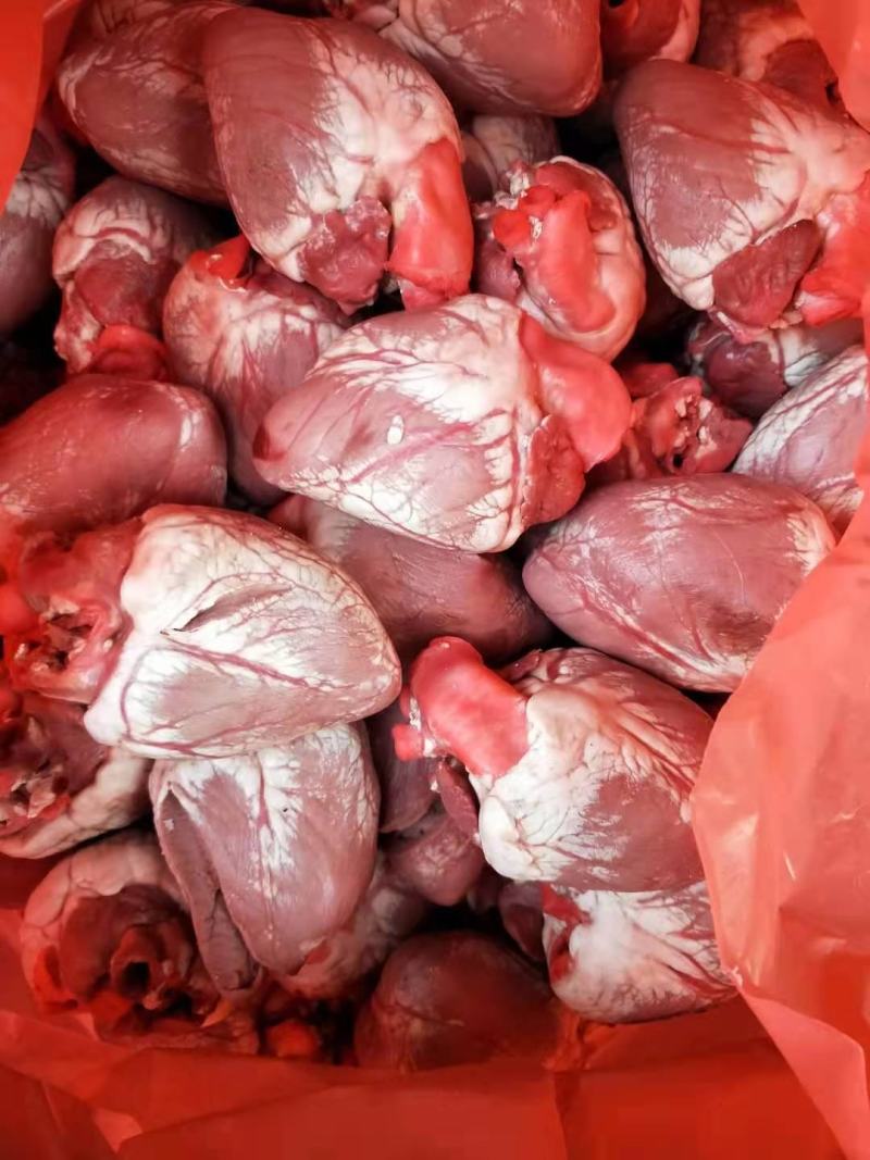 乳牛心全熟没有瘀血