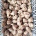 乳牛心全熟没有瘀血