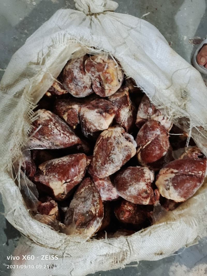 乳牛心全熟没有瘀血