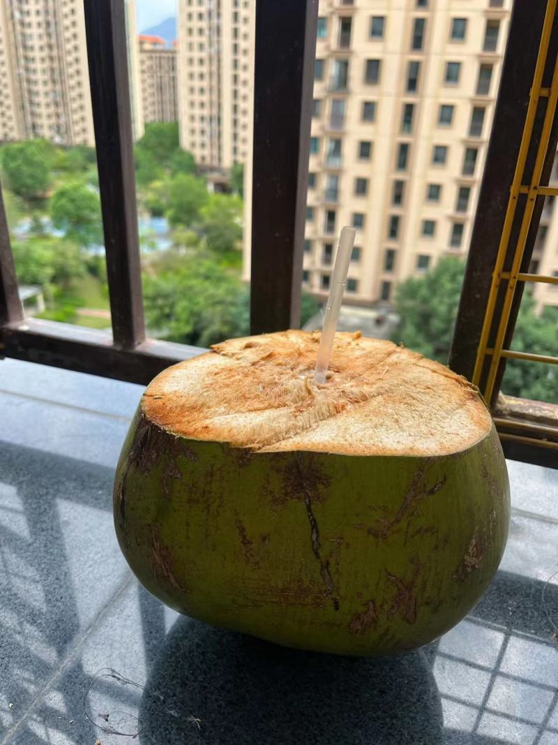 椰子便宜处理一个一块多，便宜处理，低价处理，1.88