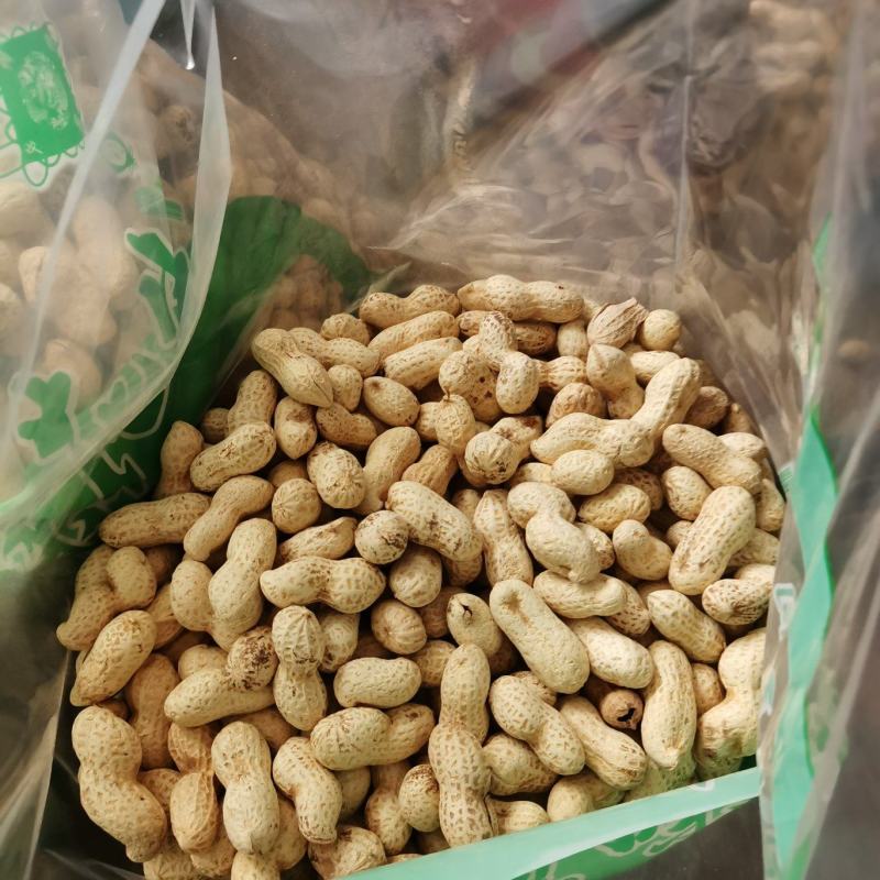 河北大名县熟花生/新货原味炒花生/量大价优