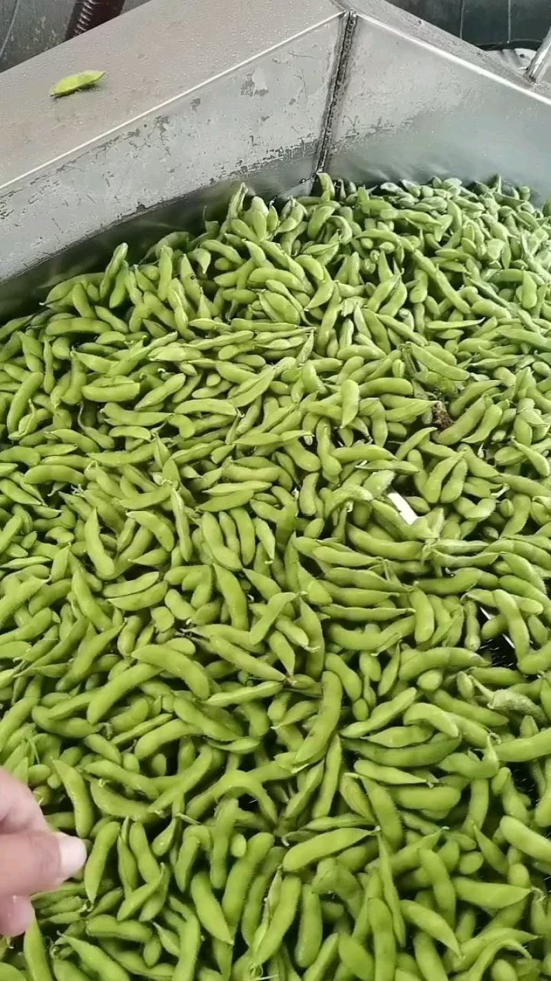 翠绿宝毛豆，大清豆【产地】货量充足】量大从优】