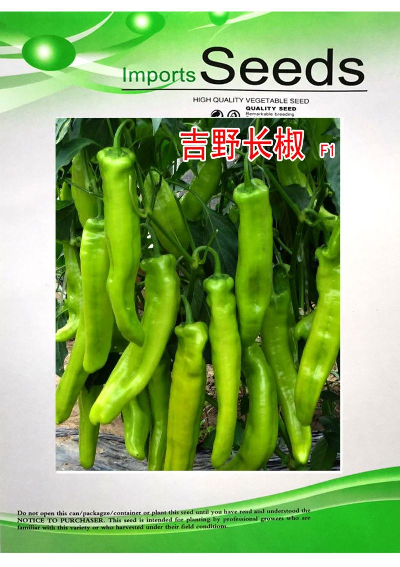 辣椒种子进口抗寒尖椒青黄皮进口抗高温高产抗病牛角羊角种子