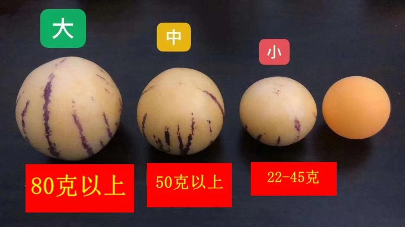 人生果