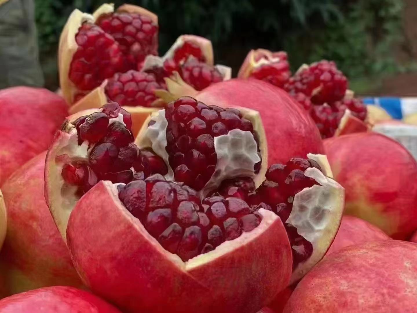 突尼斯软籽石榴在大型超市与电商平台热销场景,展示其市场接受度与消费热度 突尼斯软籽石榴在超市与电商平台热销