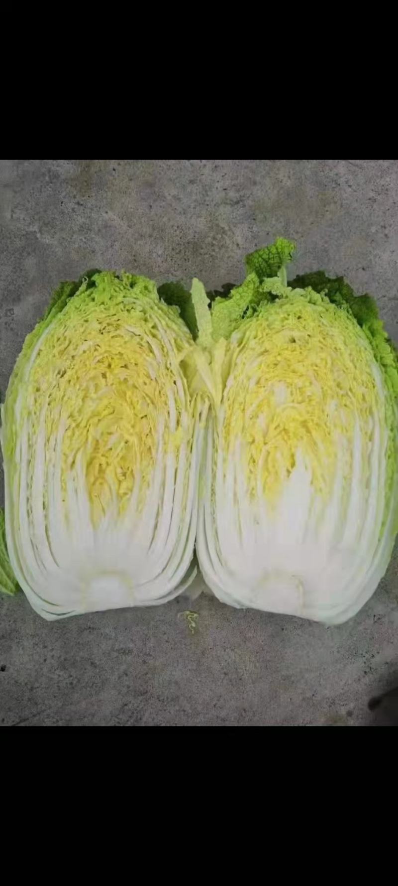 精品大白菜，无虫眼，无病害单个重3-4斤。无公害蔬菜。