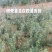 枸橘苗铁篱笆树苗基地！