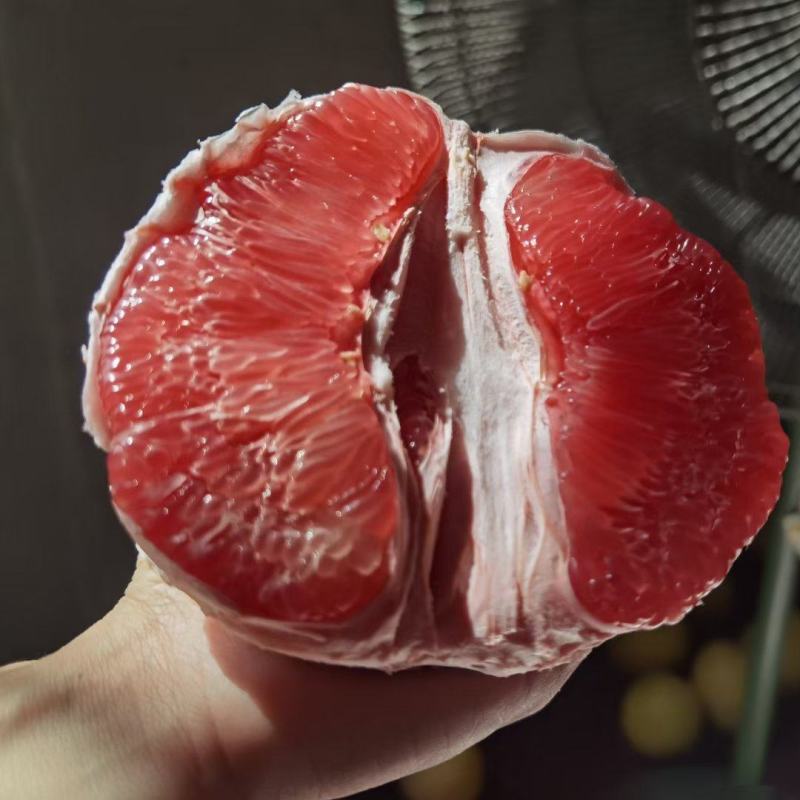 福建平和红心柚，皮薄多汁，果面干净，货源充足大量供应