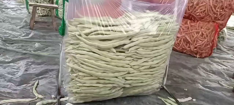 豆角冷冻包装过程