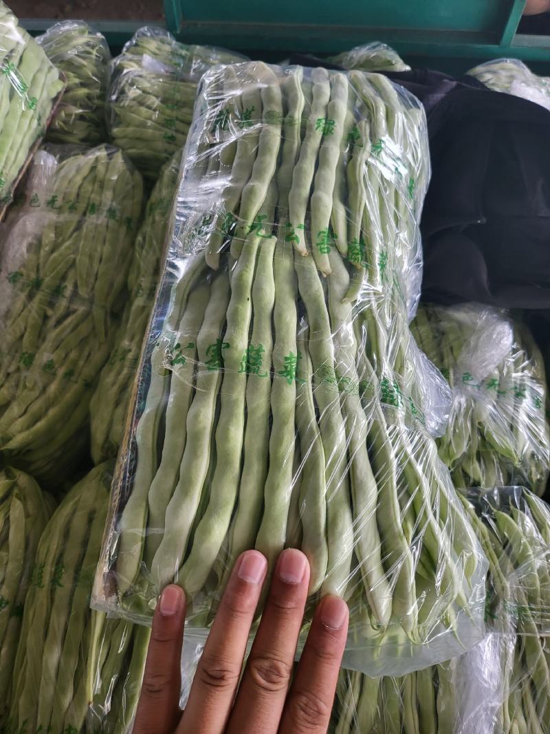 白芸豆