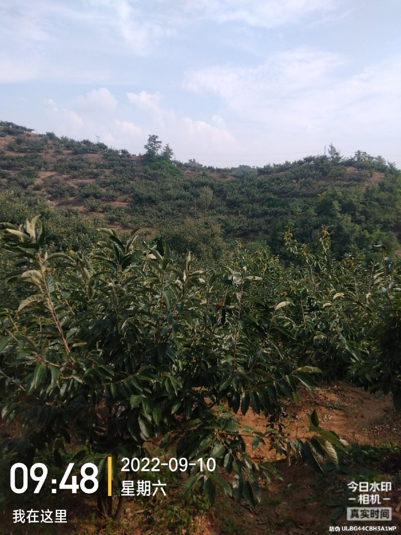朋友有没有做板票生意想做联系