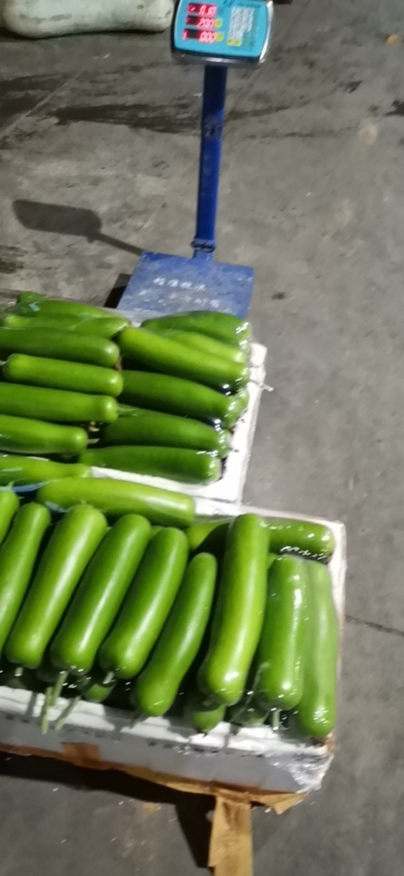武汉市东西湖区辛安渡基地瓠子大量上市需要的老板联系电商平
