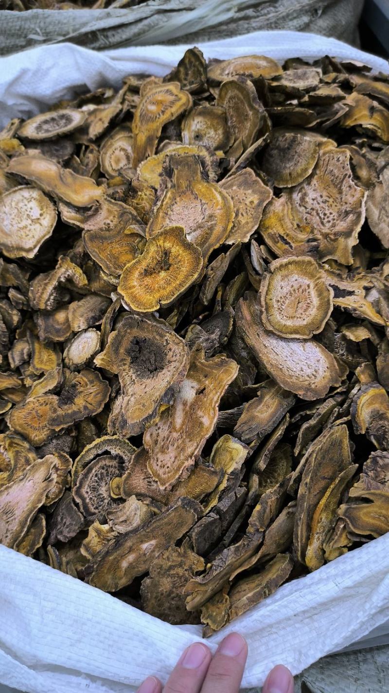 大黄无硫片大黄润浓郁现有大货可打粉马蹄黄规格齐全